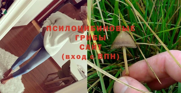 прущая мука Саяногорск