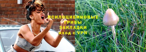 прущая мука Саяногорск
