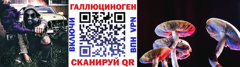 Галлюциногенные грибы ЛСД  Холм 